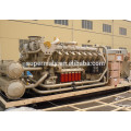 ISO approved 900kva natural gas generator for Iran market